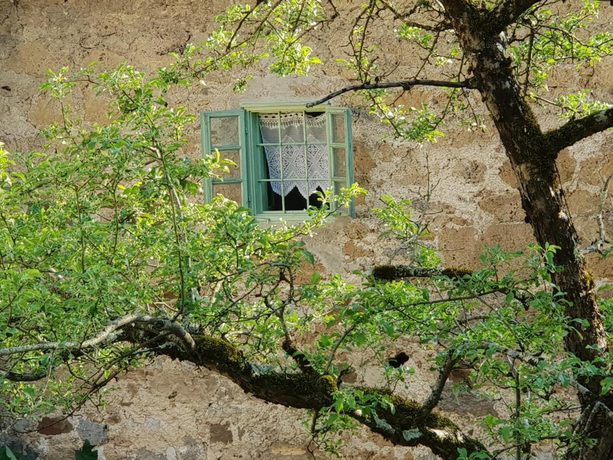 Vintage House Podliparska ξενώνας Fara Εξωτερικό φωτογραφία
