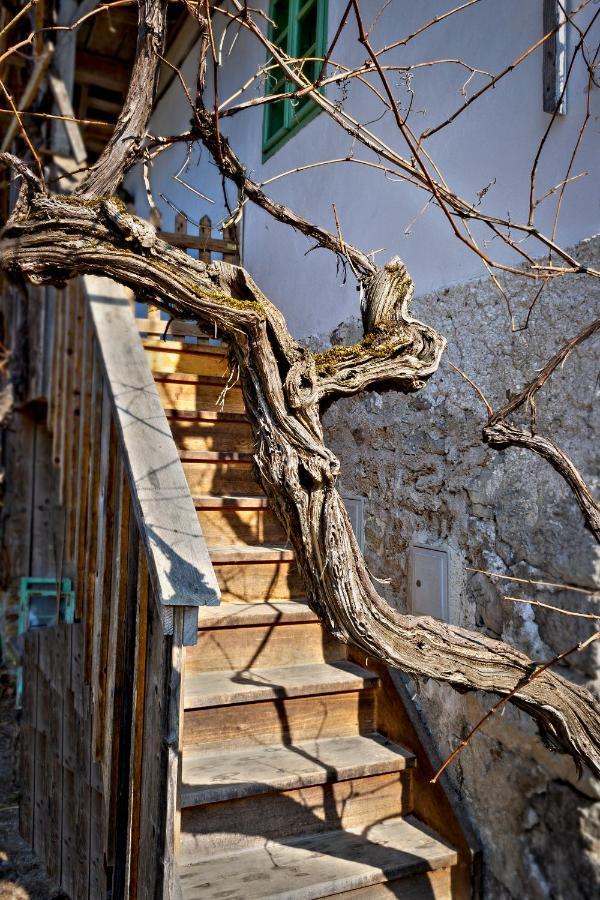 Vintage House Podliparska ξενώνας Fara Εξωτερικό φωτογραφία