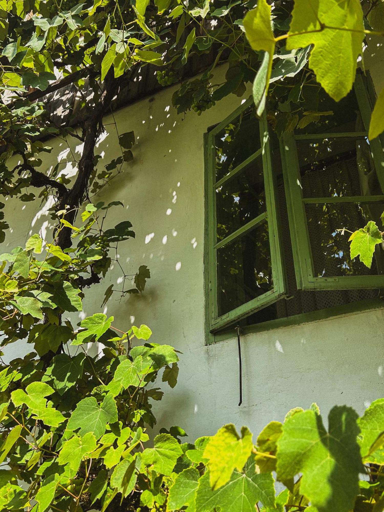Vintage House Podliparska ξενώνας Fara Εξωτερικό φωτογραφία
