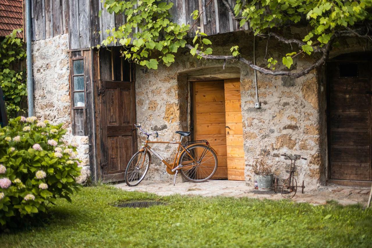 Vintage House Podliparska ξενώνας Fara Εξωτερικό φωτογραφία